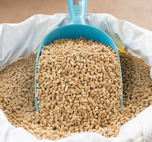 تفاوت دان مرغ تخمگذار و گوشتی در کنار به طور مثال